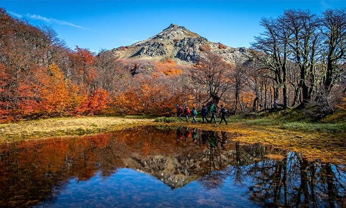 Trekkers entre lengas rojas en otoño con montaña al fondo